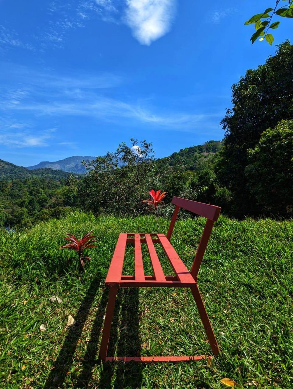 Misty Hideout Bed & Breakfast Kakkadampoyil ภายนอก รูปภาพ